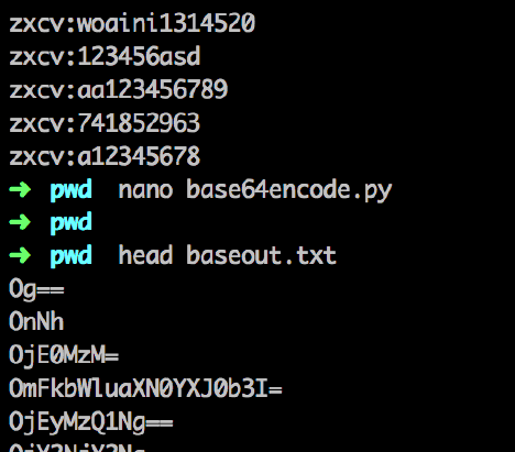 渗透测试中的密码扫描与破解技巧