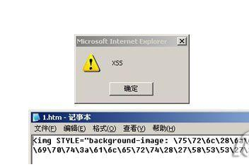一种自动化检测Flash中XSS方法的探讨