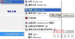 灵活运用NoScript阻止脚本攻击